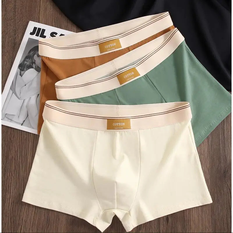 Conjunto com 3 cuecas boxers masculinas confortáveis em algodão de cor sólida